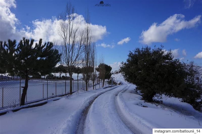 Nature is a free therapy 🙌 ───────────────── chouf  shoufreserve ... (Jbâa Ech Choûf, Béqaa, Lebanon)