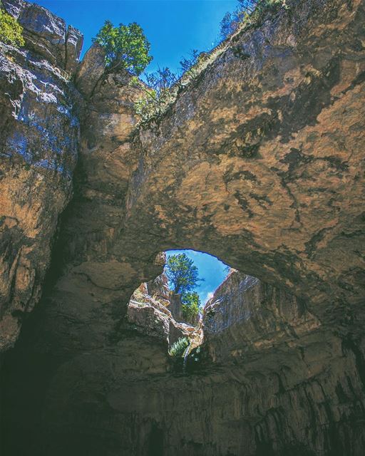 'nature is a miracle we depend upon...' (Balaâ, Liban-Nord, Lebanon)