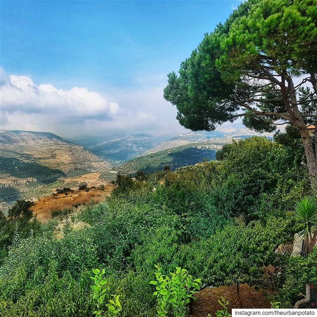 Nature is a part of us... So if you feel you lost connection to nature,... (جزين - Jezzine)
