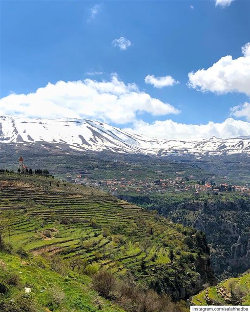 Nature is an unlimited broadcasting station of proving how much the world... (Lebanon)