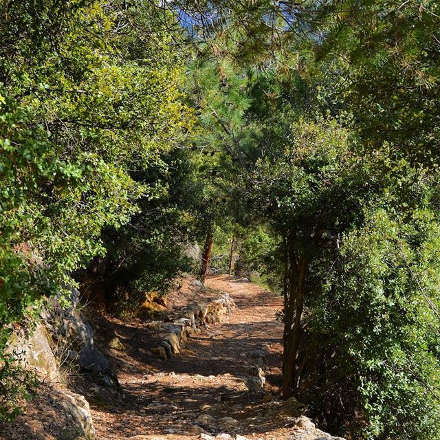 Nature is love❤❤❤ naturephotography  valleys  arch  wanderer  wanderlust ... (Kadisha Valley)