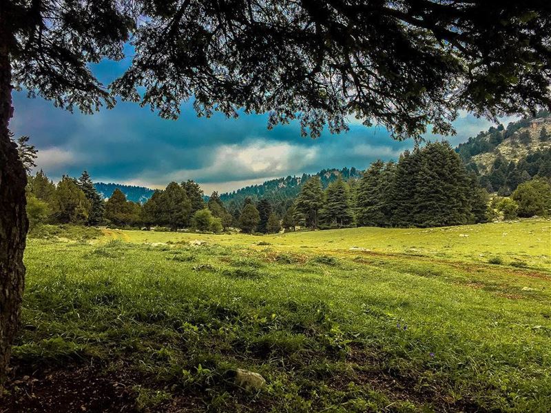 Nature is my church and love is my relegion  tb hiking  hikingadventures ...