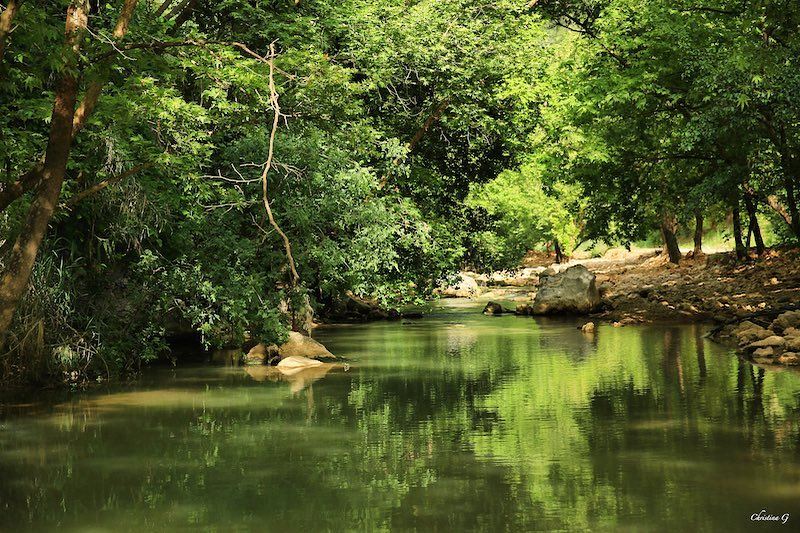 🌿Nature is my favorite color🌿 a7labaladbil3alam 🇱🇧..... photo ... (Moltaka el-nahren)