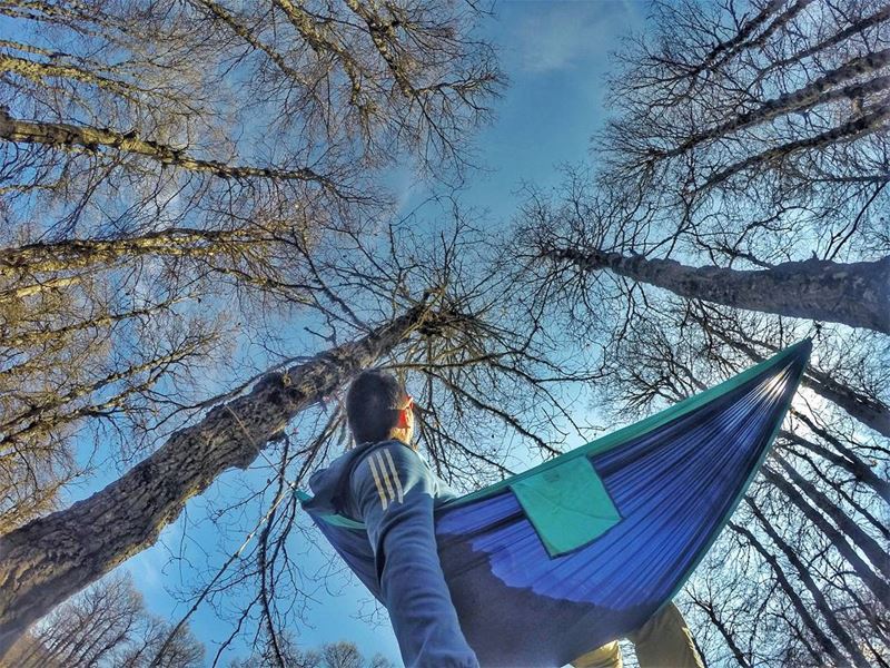 Nature is not a place to visit,it is home🍃🍃..... nature... (Fnaydek)