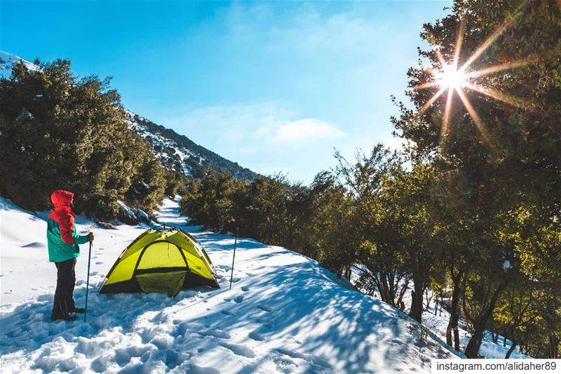 Nature is not a place to visit. it's home ⛺❄.......... (Chouf)