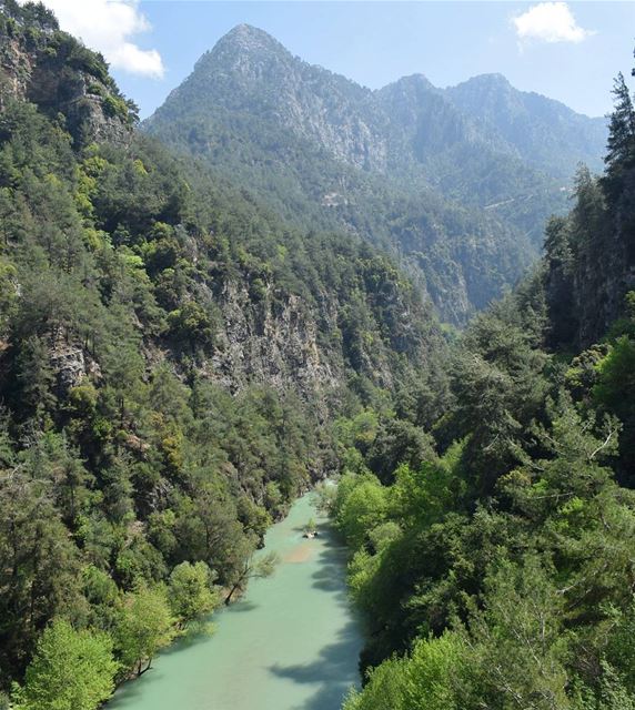 Nature Is Not A Place To Visit . It's Home ⛰🍃.. livelovelebanon ... (Chouwen)