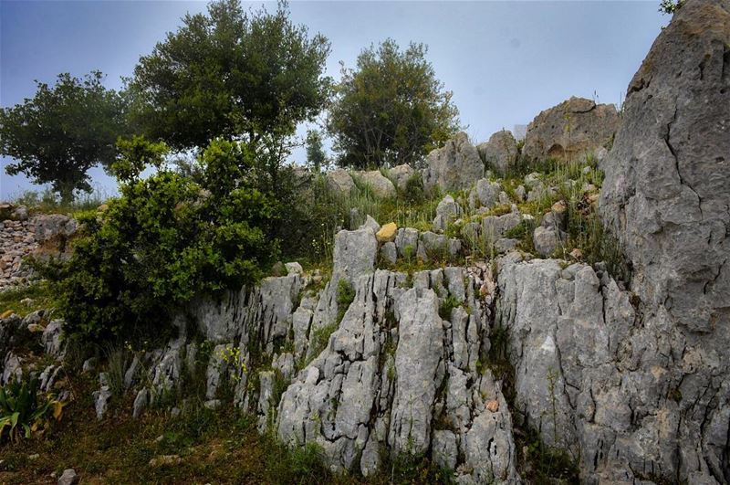 Nature is not Mute, It is man who’s deaf..-📍Machnaka, Lebanon 🇱🇧- ... (El Machnaka, Mont-Liban, Lebanon)