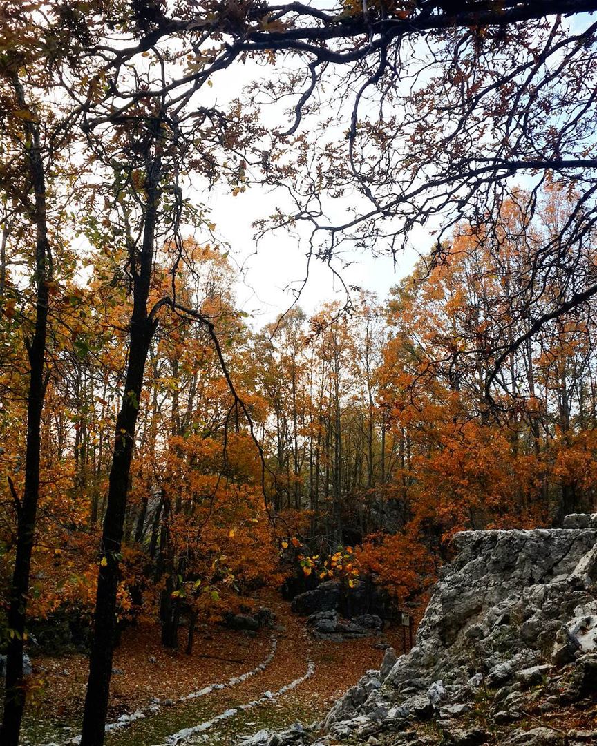 nature is our  treasure 😍😍  falltime  hiking  sundayworkout  falltime🍁...