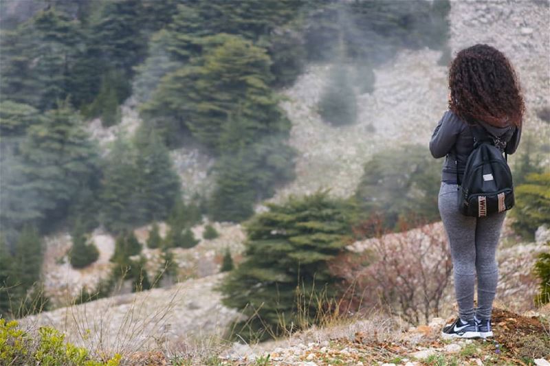 Nature is pleased with simplicity🍃📷: @rabahdaou99 green  cedars ... (Mother Nature.)