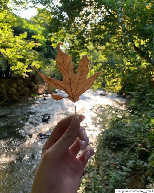Nature is pleased with simplicity🍁  Today  Summer  River  Nature ...
