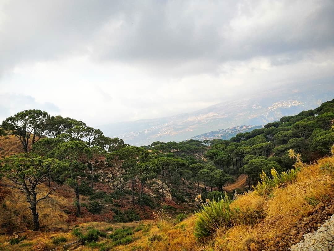 Nature is ready to welcome the autumn season 🌳🍁 livelovenature... (Falougha, Mont-Liban, Lebanon)