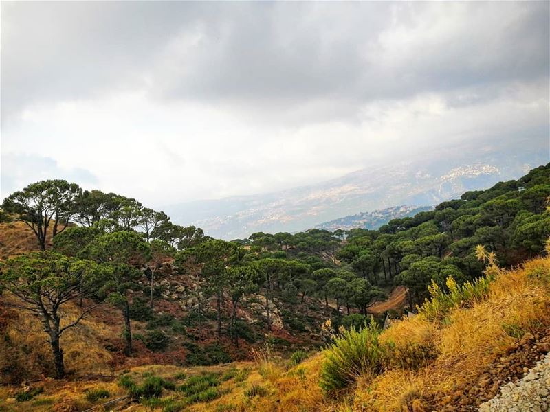 Nature is ready to welcome the autumn season 🌳🍁 livelovenature... (Falougha, Mont-Liban, Lebanon)