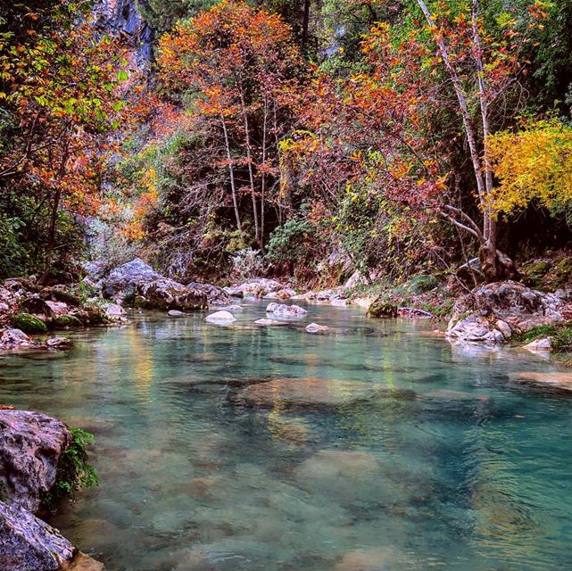 Nature is speaking 🍁💧🍂💧🌾