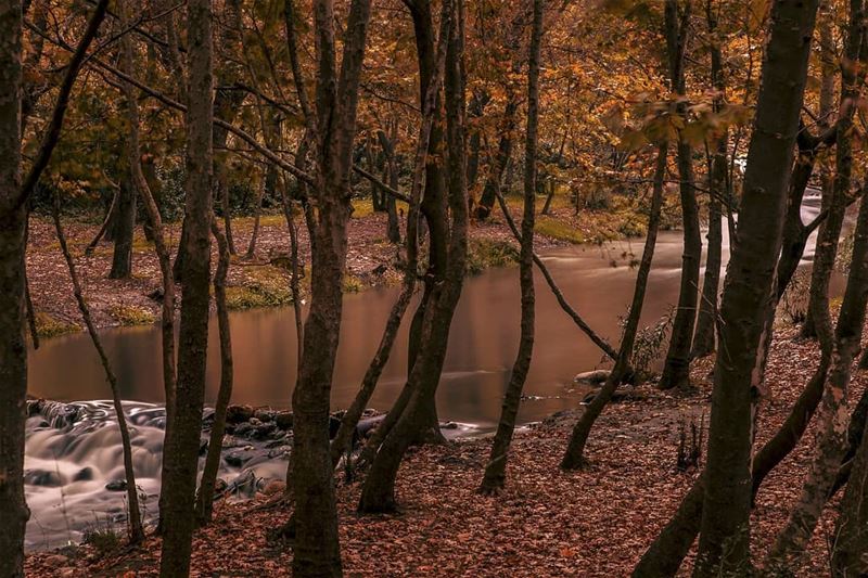 Nature is the art of god🍁🍂.....  aroundtheworld  hike  travelling ... (Aakar, Liban-Nord, Lebanon)