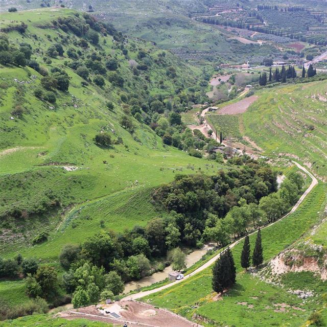 Nature is the art of god.... jnoub nature green landscape spring... (Zawtar Al Gharbiyah, Al Janub, Lebanon)