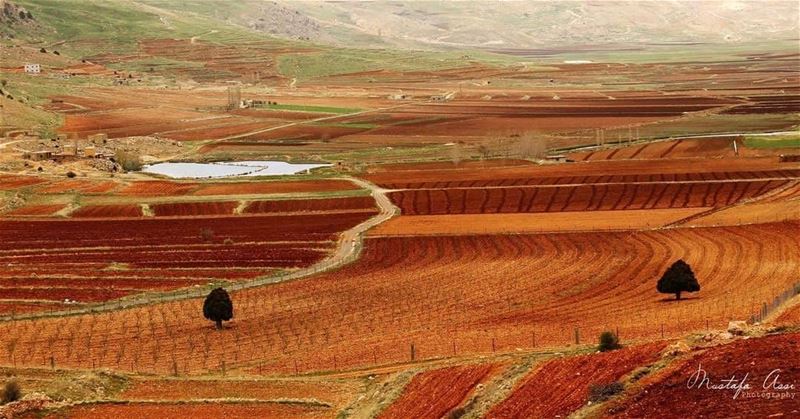  Nature is the art of godCredits to @mustafaassi Hermel  Bekaa  Lebanon ... (El Hermel, Béqaa, Lebanon)