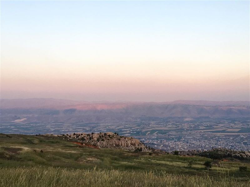 Nature is the art of... (Zahlé, Lebanon)