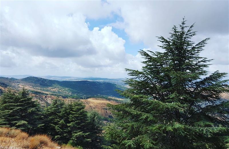 Nature is the best way to boost your ene (Lebanon)