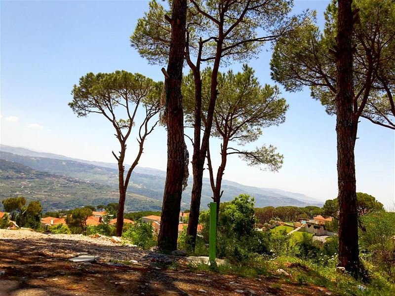 Nature is ❤❤❤ views  mountainsoflebanon  naturephotography  naturelover ... (Lebanon)