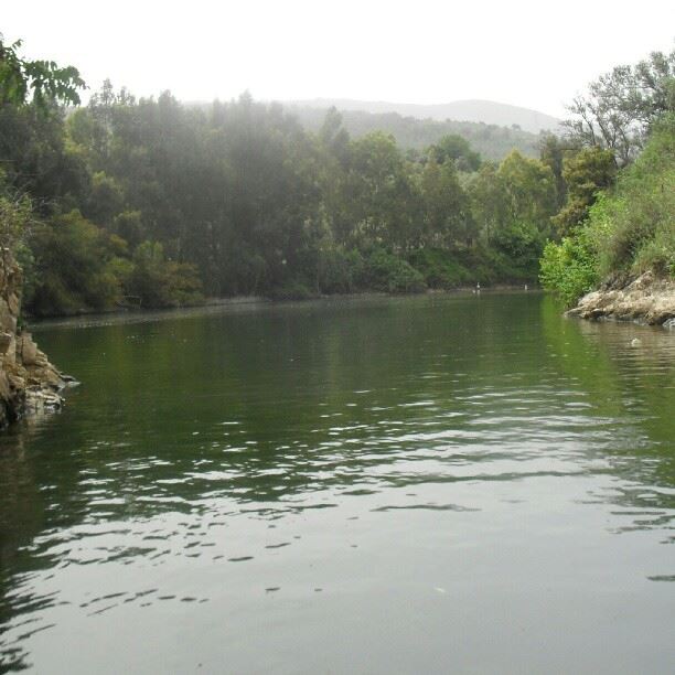 nature lake water