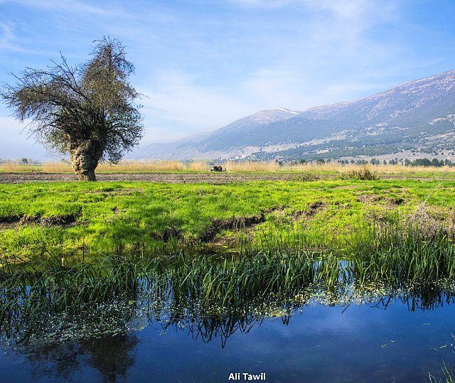  nature  landscape  beautiful  nikon  d810  reflection  insta_lebanon ... (`Ammiq, Béqaa, Lebanon)