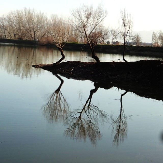  nature  lebanon  bekaa  taanayel  reserve  water  lake  trees  shadows ...