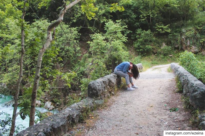 🙃...... nature  lebanon  chouwen   forest   green  village ... (Chouwen)