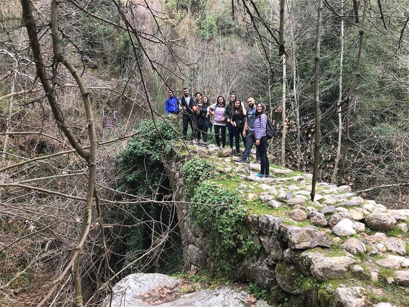 Nature life 🌲☘️🌿🌸 (Qannoubine Valley)