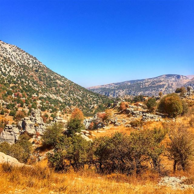nature love lebanon lebanonspotlight