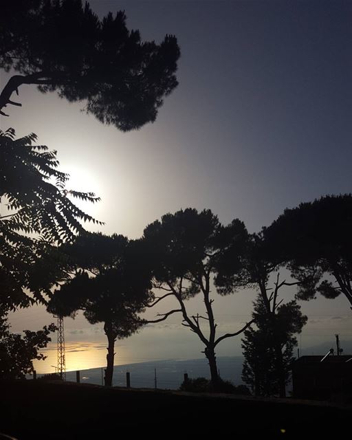  nature  naturelovers dark  light  sunset  trees pinetrees  mylebanon ... (Aley District)