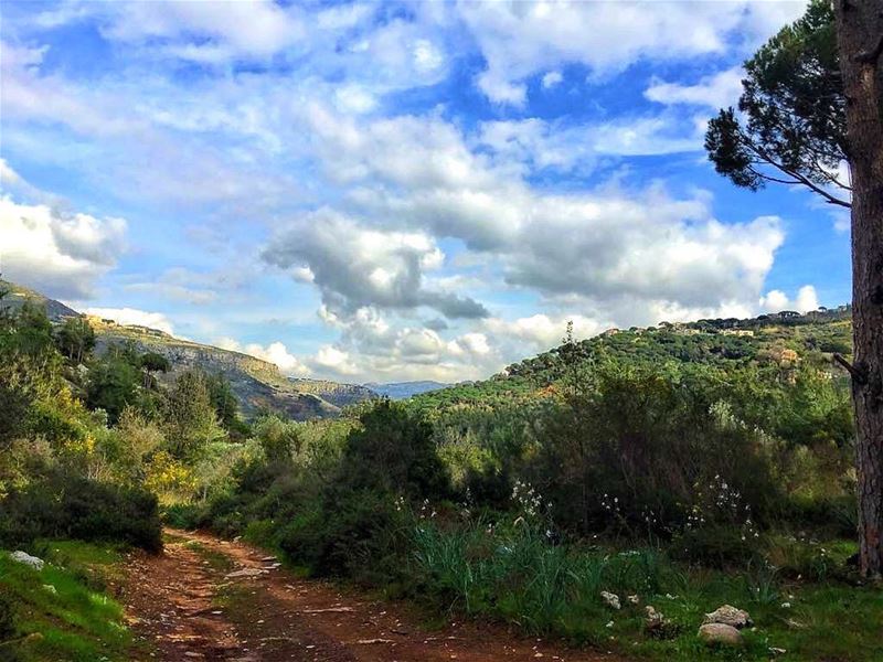  nature  naturelovers  landscape  landscapephotography  mountains  trees ... (Kafr Mattá, Mont-Liban, Lebanon)