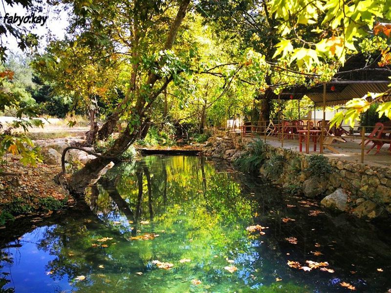  nature naturelovers naturephotography natureshot autumn river instagood ... (Chouf)