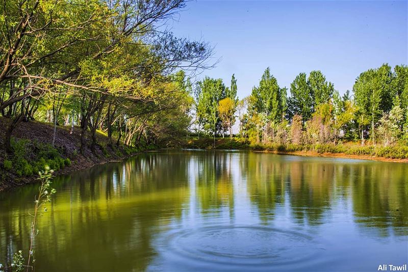 💙 nature  naturelovers  trees  sky  blue  spring  reflection  beautiful ... (West Bekaa)