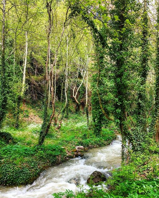 🇱🇧⛰🌿🍃🌿🍃⛰ 🇱🇧 nature naturephotography history family trip vacation... (Wadi Qannubin, Liban-Nord, Lebanon)