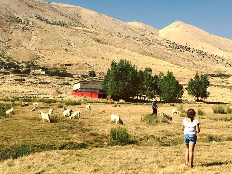  nature  naturephotography  mountains  whatsuplebanon  eyesoflebanon  ... (3youn Orghosh)