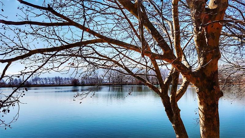  nature  naturephotography  natgeo  naturelovers  landscape ... (Taanayel Lake)