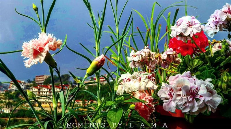  nature naturephotography nature_photo nature_lovers landscape... (Bakhoun, Liban-Nord, Lebanon)