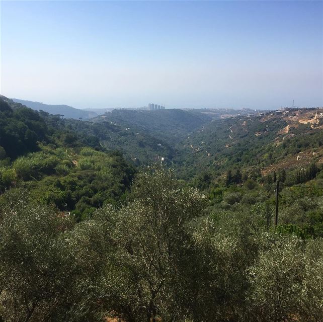  nature  naturephotography  naturelovers  naturegram  mountains ... (Abey, Mont-Liban, Lebanon)