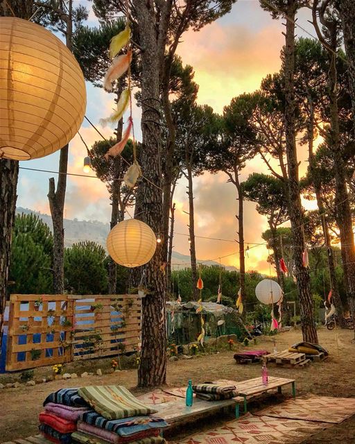  nature  naturephotography  outdoors  sunset  trees  tagthestory ... (Lolita n Chill)