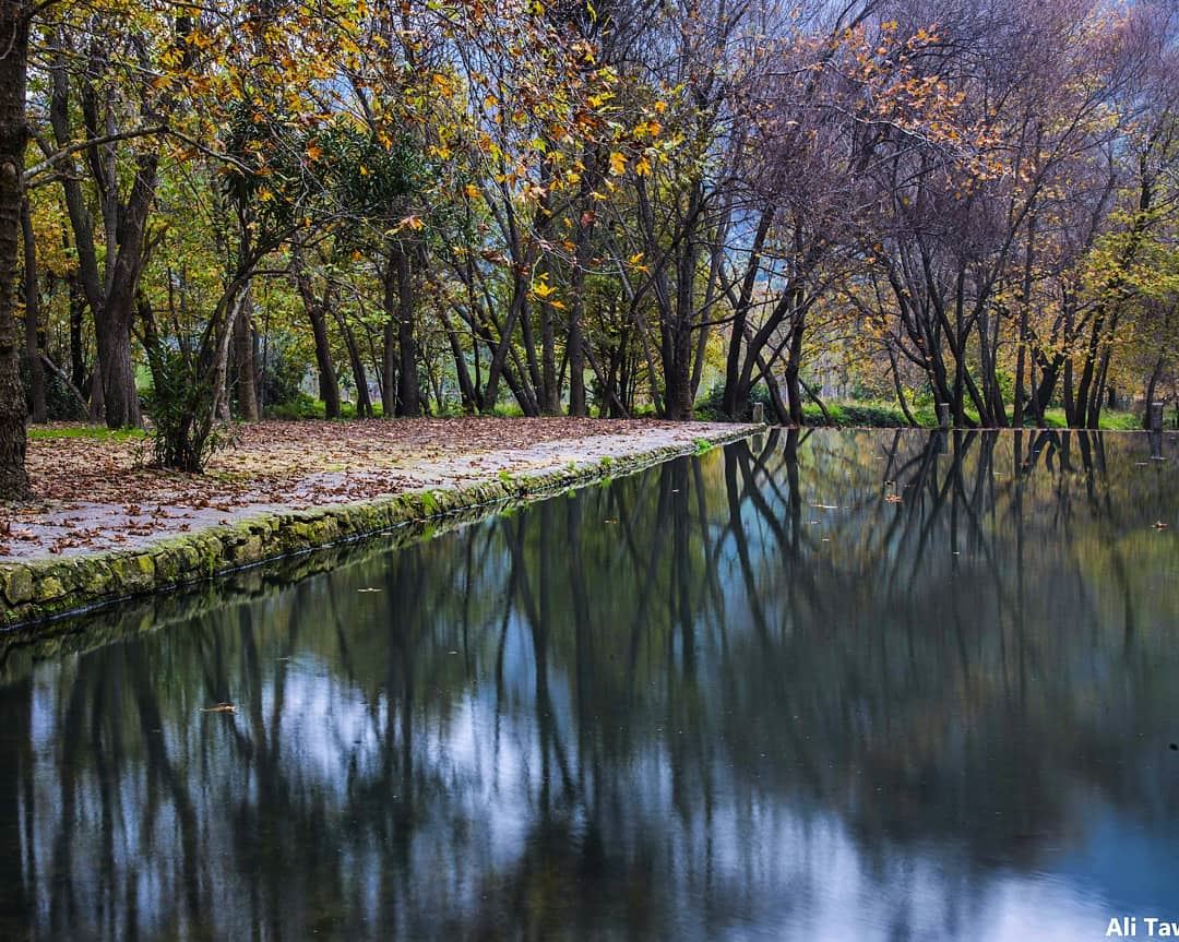 🍁 nature  naturephotography  reflection  autumnseason  autumn ... (Akkar)