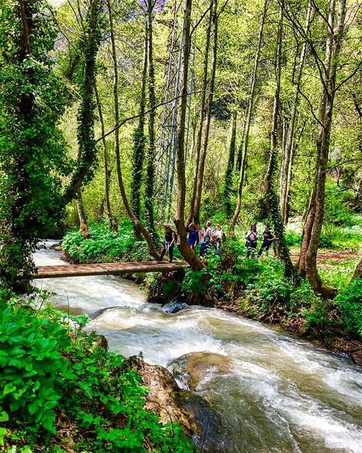 🇱🇧🍃🌴🌿🍀🌿🌴🍃🇱🇧nature naturephotography view family trip vacation... (Wadi Qannubin, Liban-Nord, Lebanon)