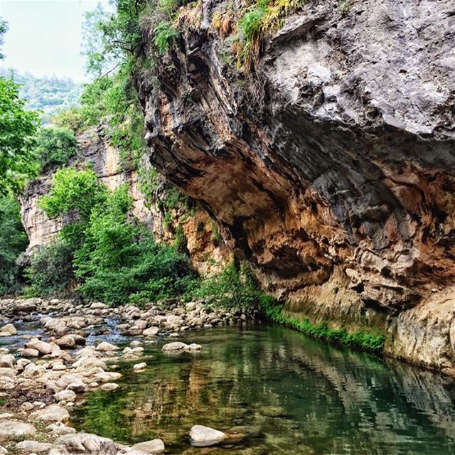 Nature never goes out of style 💚 (لبنان)