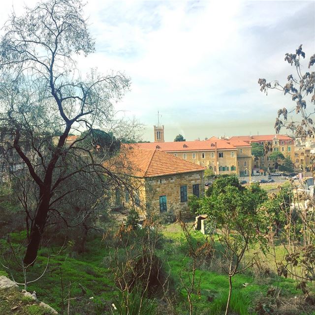  nature  old  houses  school  green  trees  grass  valley  mountain  grey ... (Ain El Rihane)