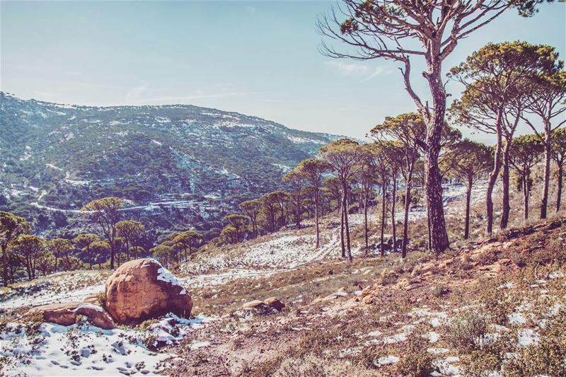  nature   outdoors  hiking  photo  photography  nikonphotography  lebanon ... (Arsoûn, Mont-Liban, Lebanon)