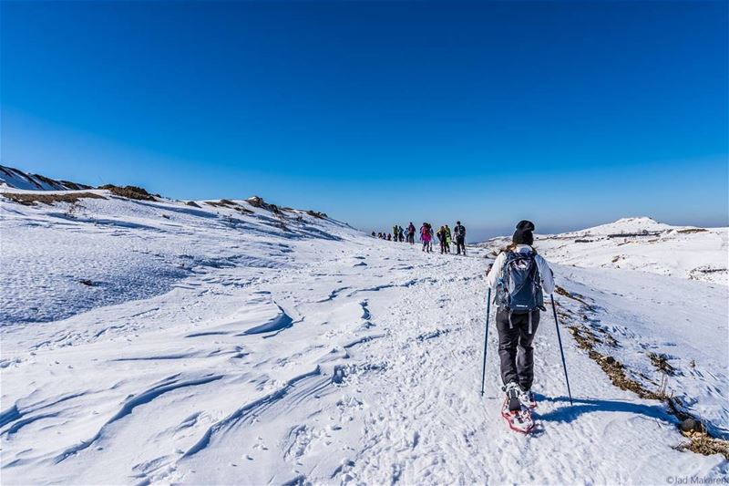  nature   outdoors  hiking  photo  photography  nikonphotography  lebanon ... (Dahr El Baïdar, Mont-Liban, Lebanon)