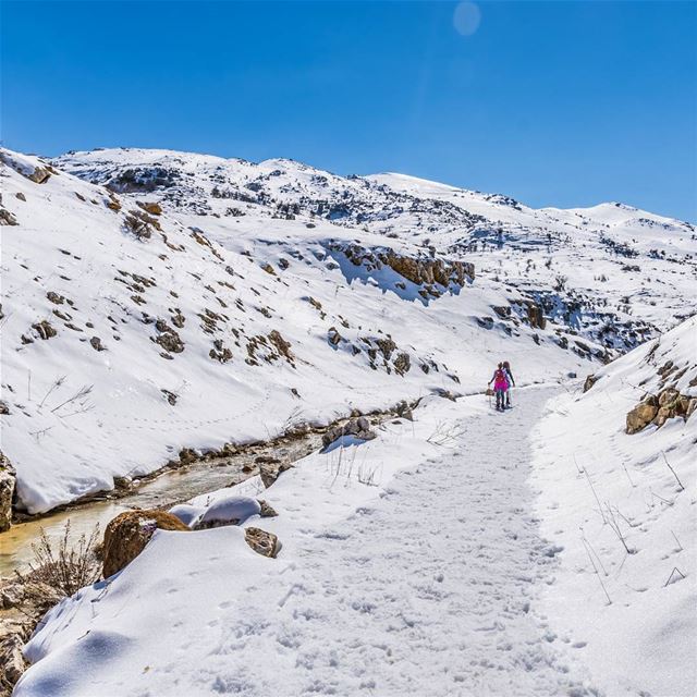  nature   outdoors  hiking  photo  photography  nikonphotography  lebanon ... (Dahr El Baïdar, Mont-Liban, Lebanon)