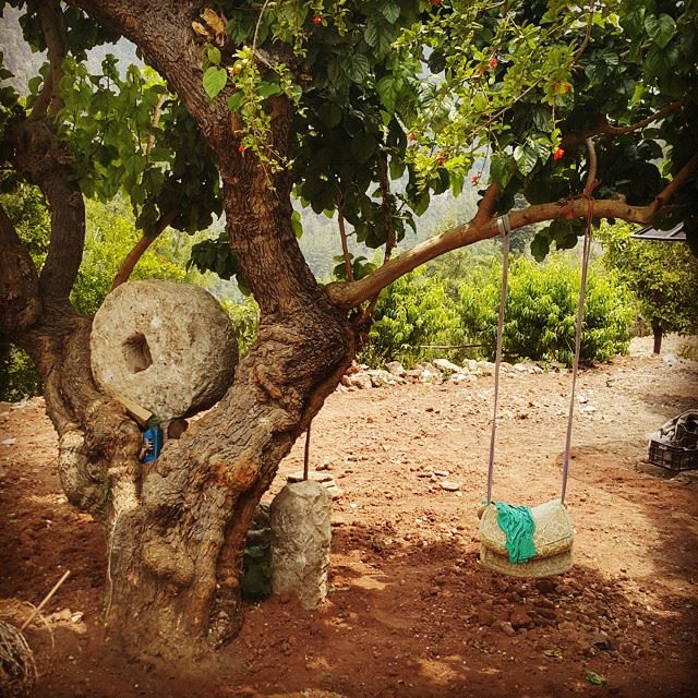  nature  peace  lebanon  chouwen  swing  ...