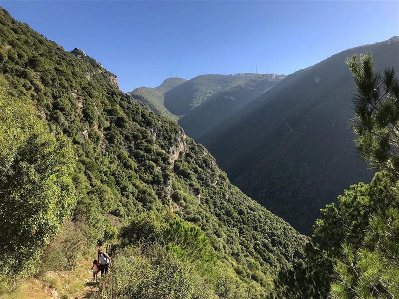 Nature plays a symphony; listen and enjoy 😍 (Jbeil جبيل)