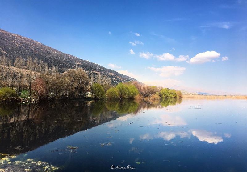 [Nature•Reflection] 🏞 ammiq  wetland  nature  nofilter  reflection ... (`Ammiq, Béqaa, Lebanon)