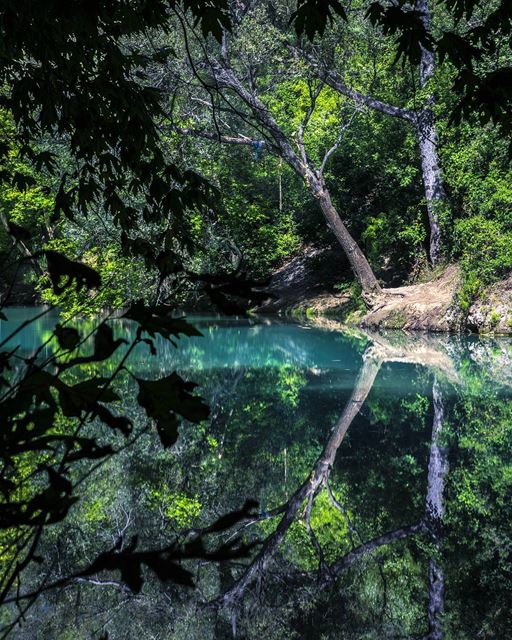  nature  reflection  nature_uc  nikon  d810  beautiful  insta_lebanon ... (Chouwen)